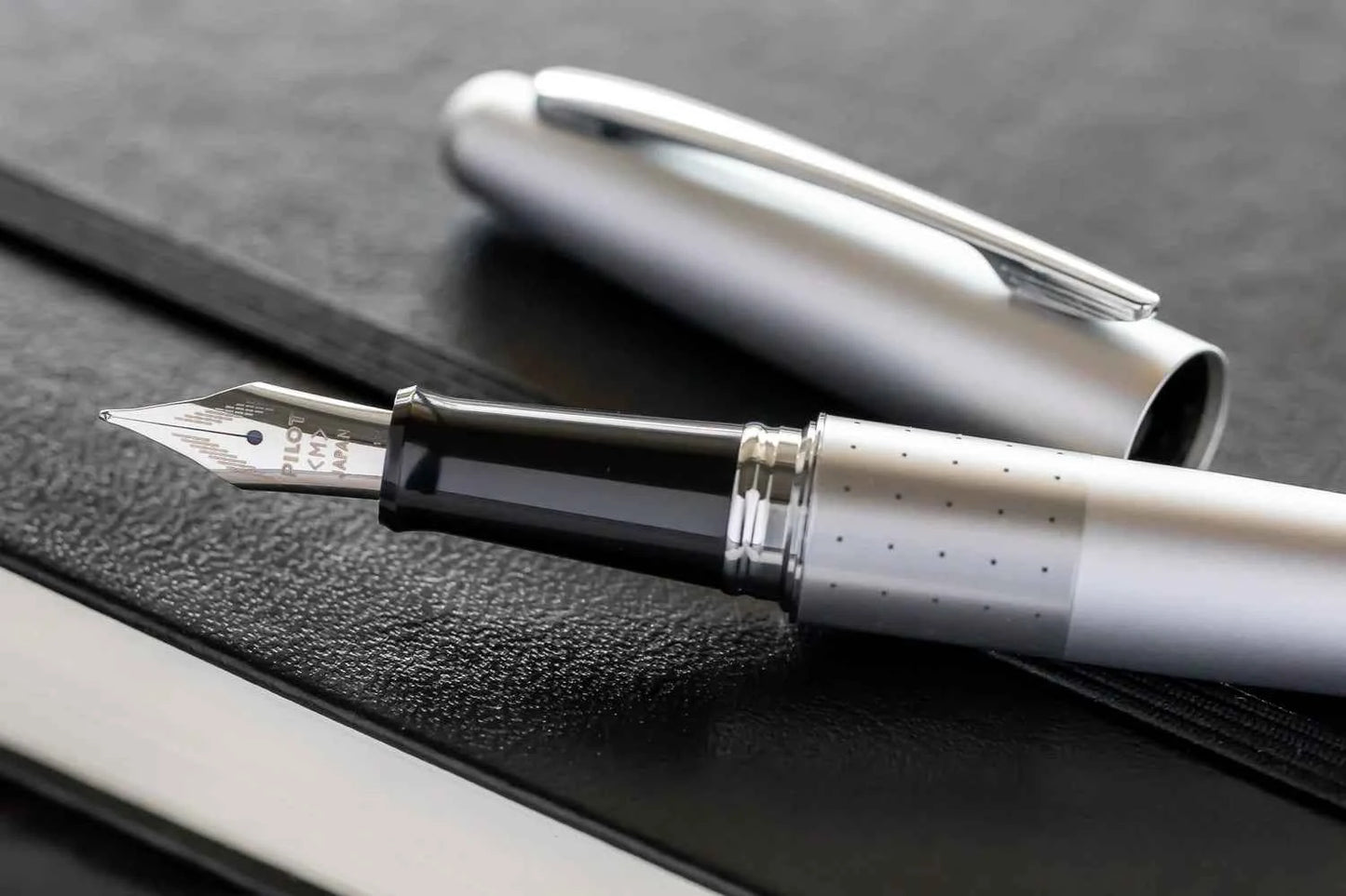 Pilot Fountain Pen Silver Dots MR 01