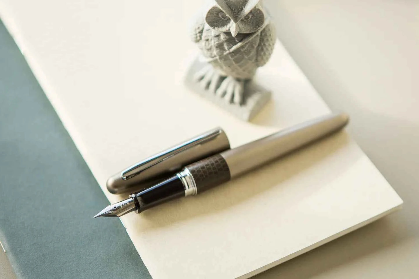Pilot Fountain Pen Gunmetal Lizard MR 01