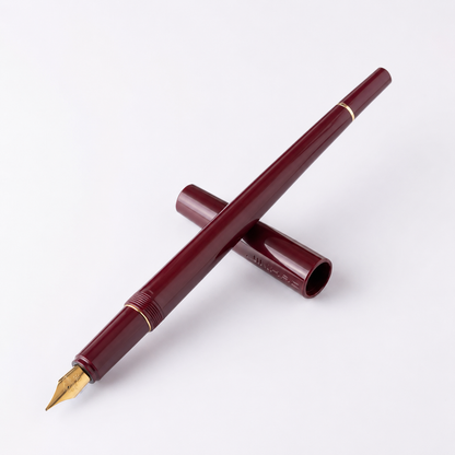 Jinhao 1001 Fountain Pen Set