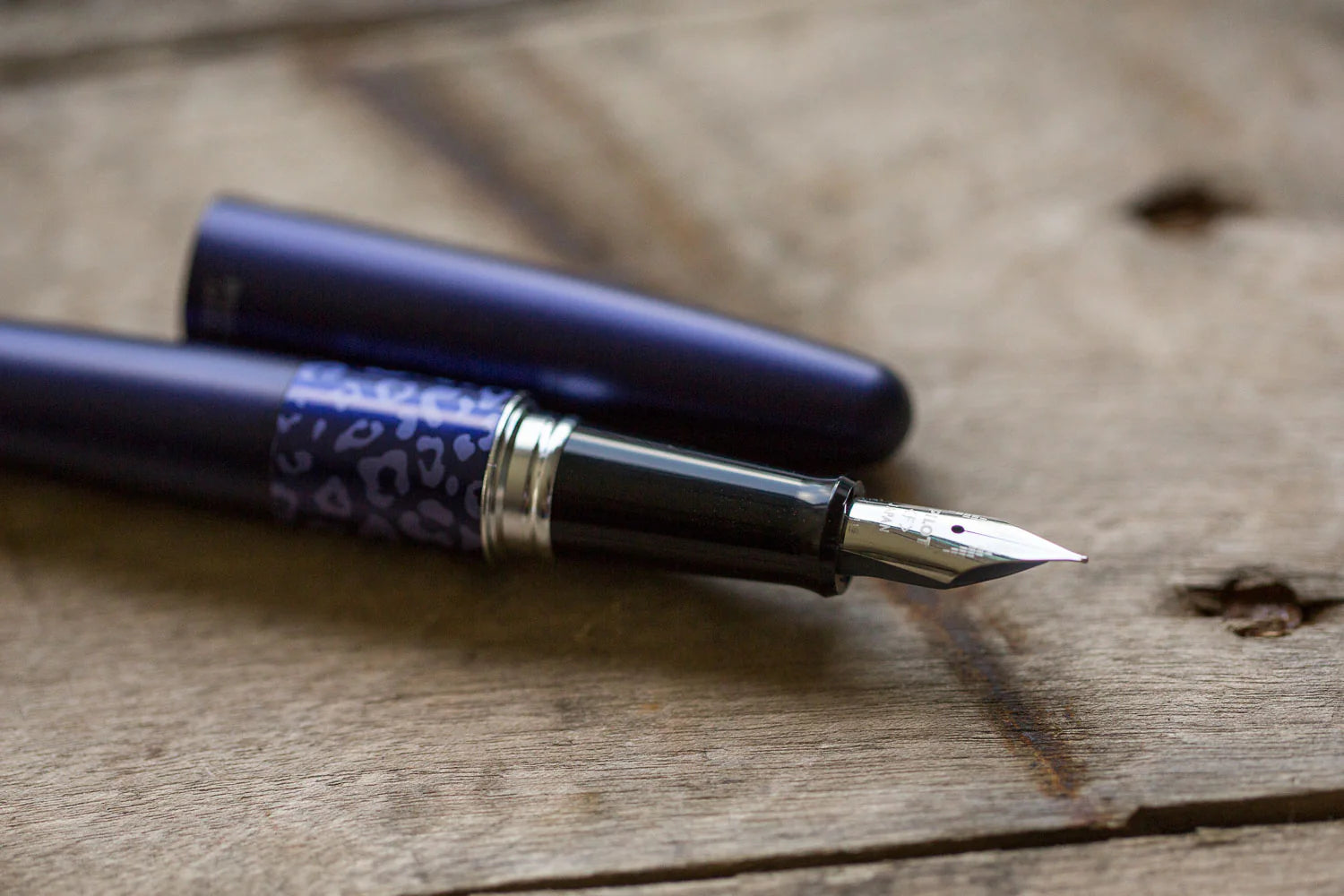 Pilot Fountain Pen Blue Leopard MR 01 - Al Qalam